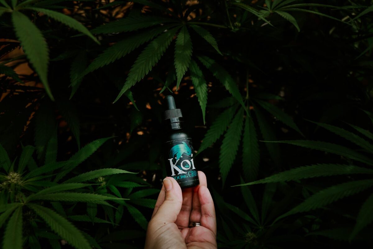 choisir huile cbd construire routine réaliste